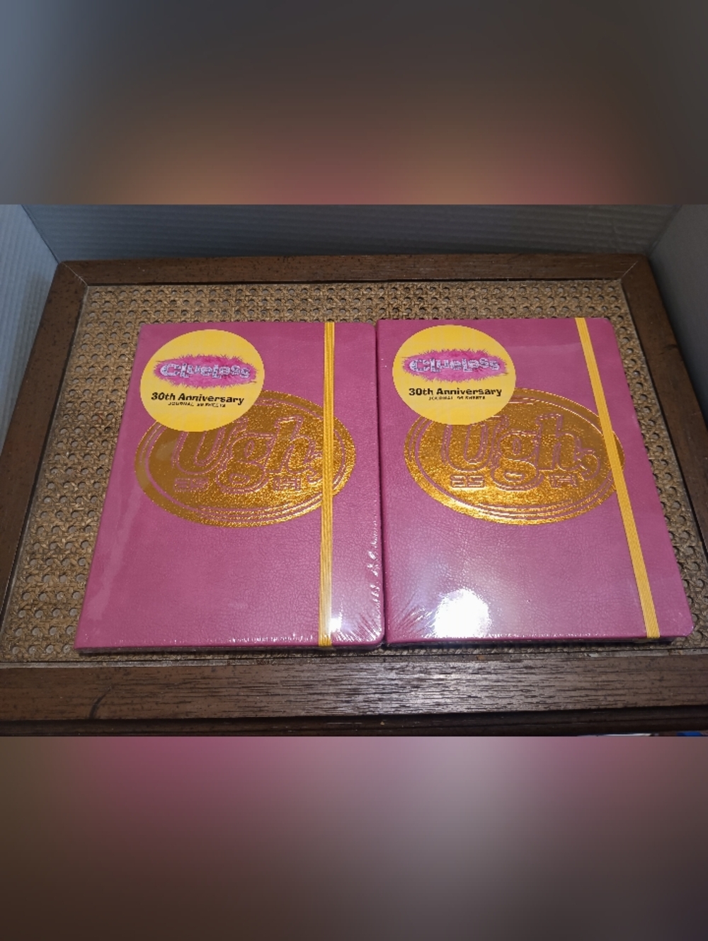 NEW Clueless 30th Anniversary Journal